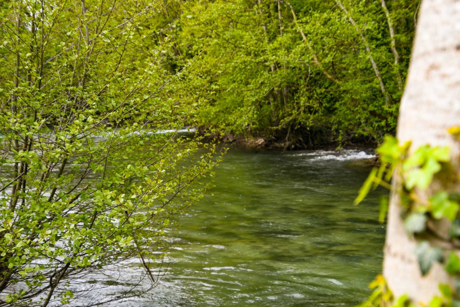 Les rives champenoise - Gîte