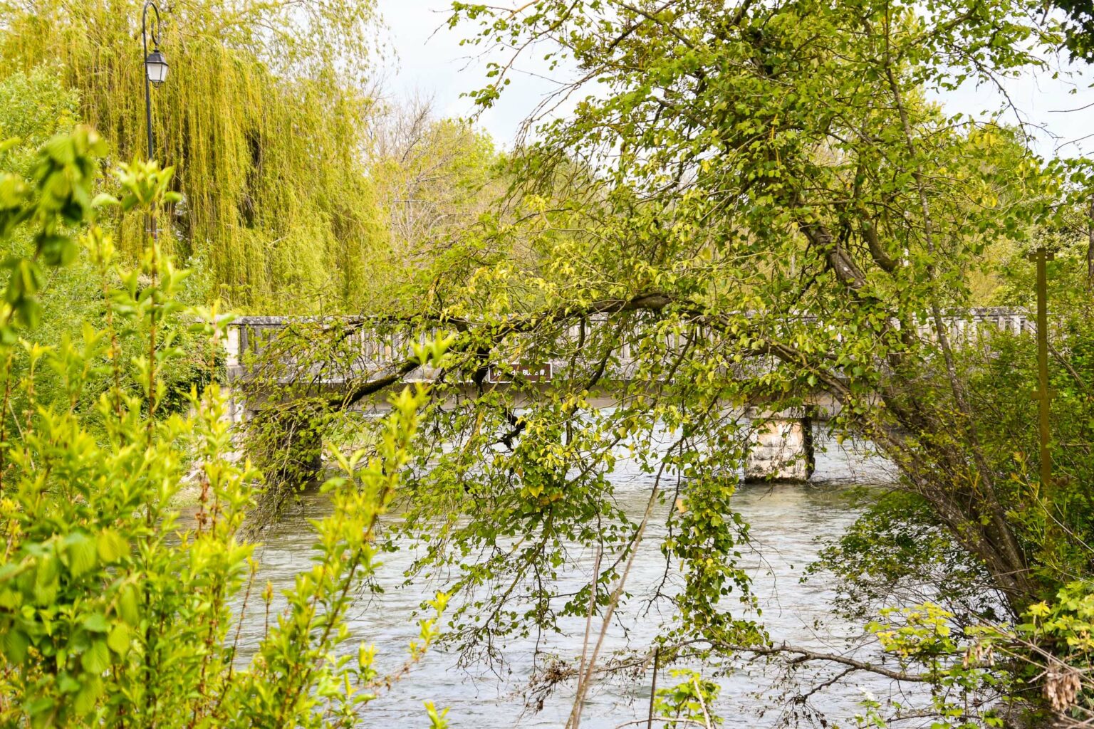 Les rives champenoise - Gîte